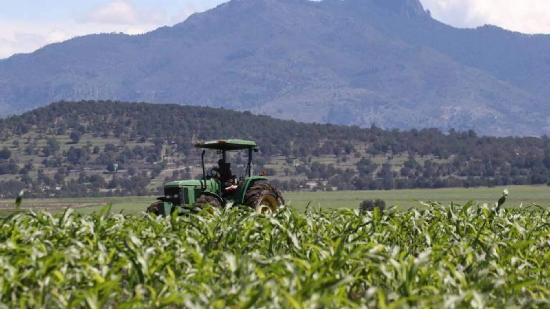 Agricultura agricultores campo  cuartoscuro